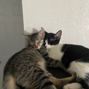 Meet your Posher, Elana